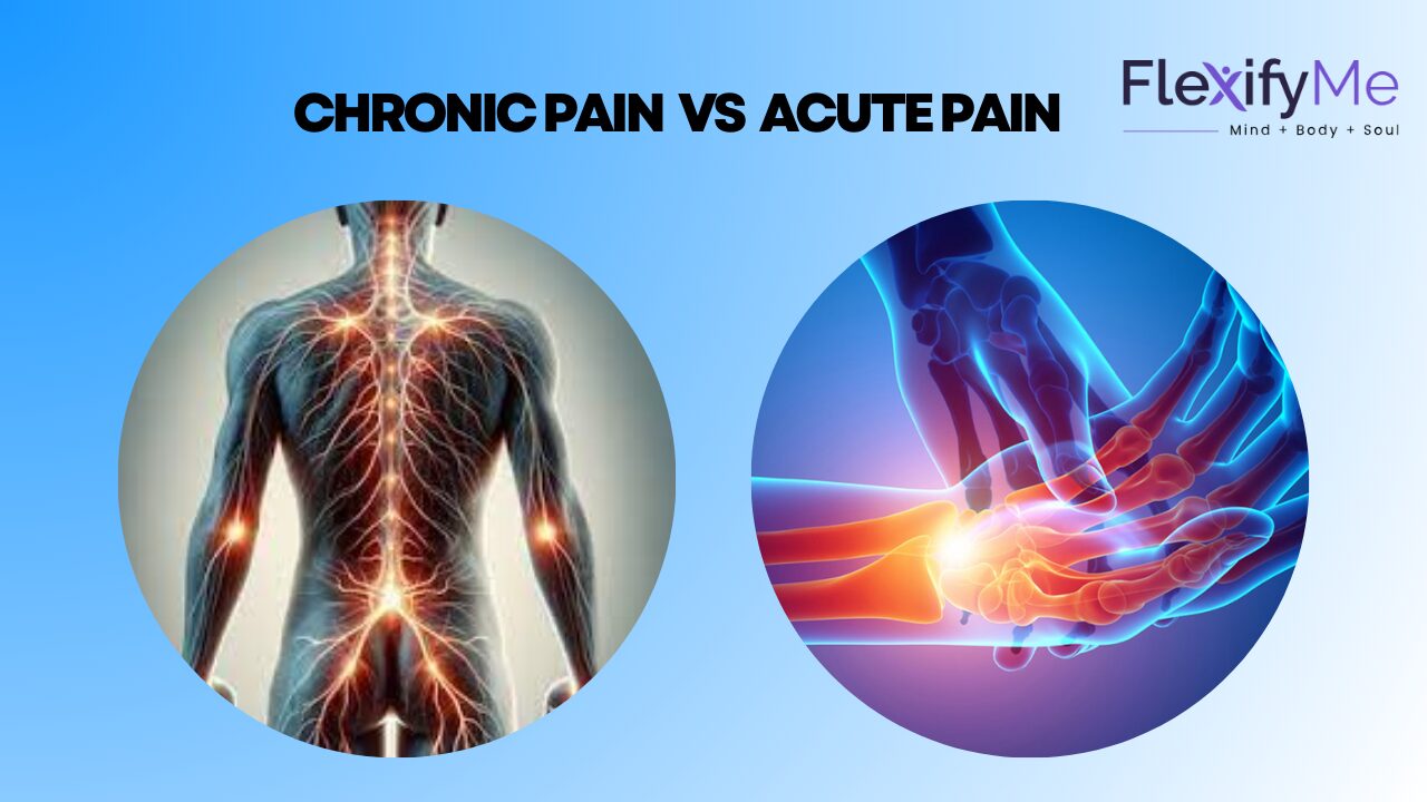 chronic pain vs acute pain 1